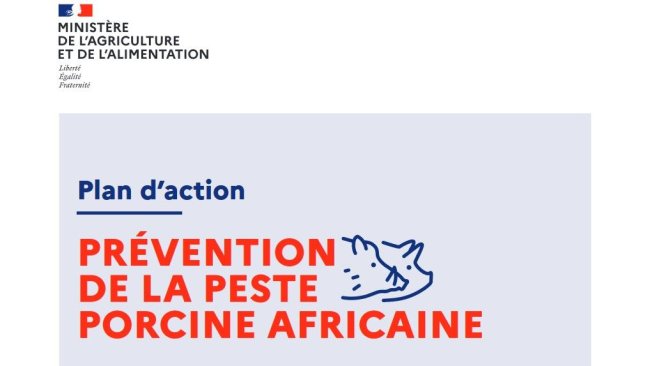peste porcine africaine