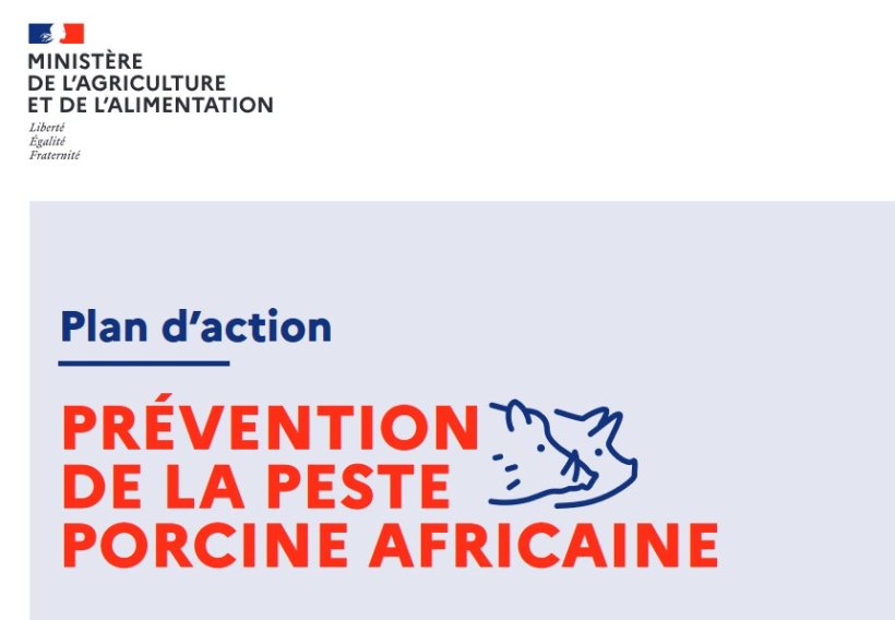 peste porcine africaine