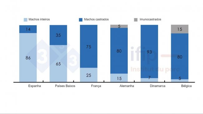 Percentagens de abate de porcos machos inteiros, castrados ou imunocastrados.