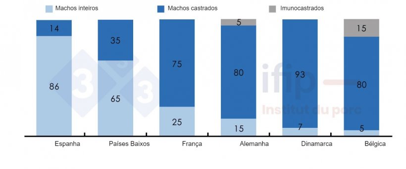 Percentagens de abate de porcos machos inteiros, castrados ou imunocastrados.
