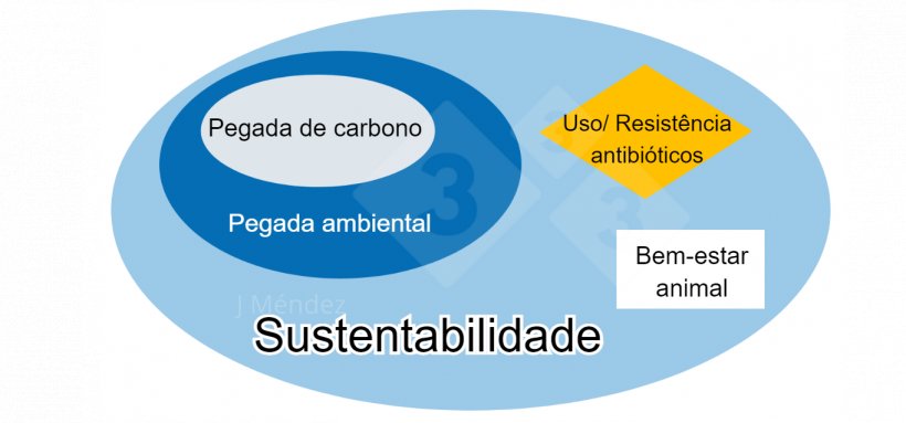Figura 1. Principais conceitos de sustentabilidade
