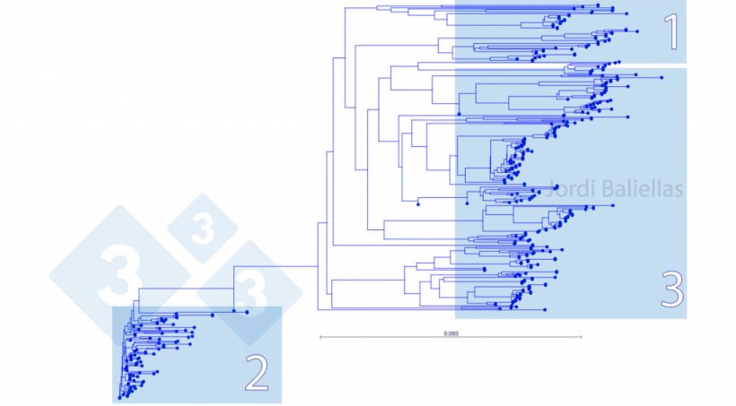 Figura 5. Árvore filogen&eacute;tico de sequências ORF5 detectadas entre 2017 e 2021 numa zona de controlo de PRRS.
