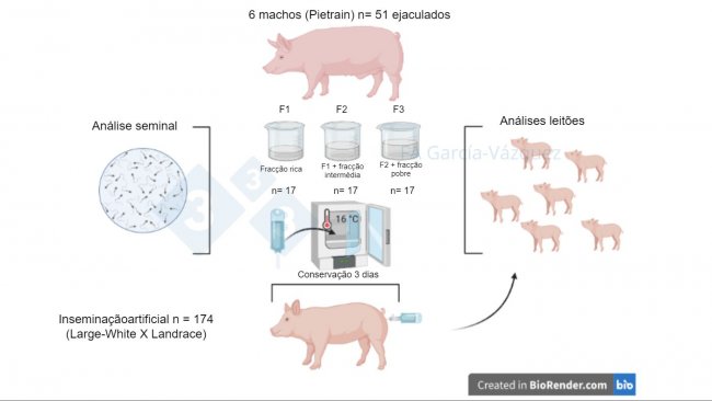 Figura 1. Resumo gráfico do estudo
