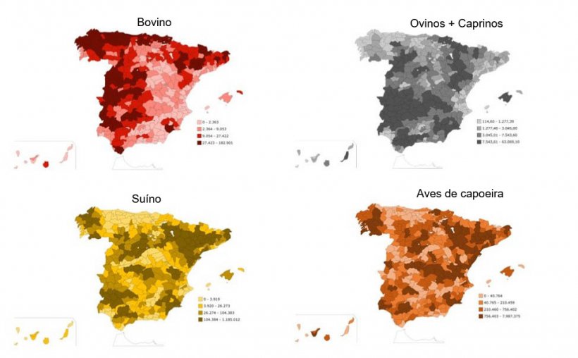Distribui&ccedil;&atilde;o geogr&aacute;fica dos tipos de produ&ccedil;&atilde;o animal, por esp&eacute;cies. Fonte: INE.
