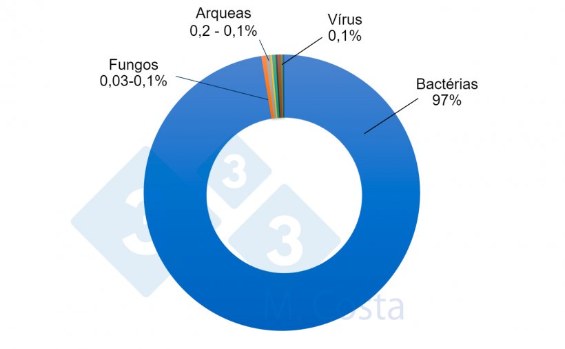 Figura 1 - Estimativa da propor&ccedil;&atilde;o relativa dos diferentes microrganismos no microbioma intestinal de su&iacute;nos. Embora as bact&eacute;rias representem a grande maioria dos micr&oacute;bios do intestino do porco, outros microrganismos desempenham um papel importante na complexa rede que constitui a interac&ccedil;&atilde;o entre o intestino e a microbiota.
