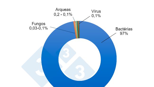 Figura 1 - Estimativa da propor&ccedil;&atilde;o relativa dos diferentes microrganismos no microbioma intestinal de su&iacute;nos. Embora as bact&eacute;rias representem a grande maioria dos micr&oacute;bios do intestino do porco, outros microrganismos desempenham um papel importante na complexa rede que constitui a interac&ccedil;&atilde;o entre o intestino e a microbiota.
