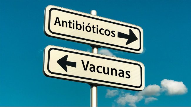 A intensificação da produção de rações e o aparecimento de novos sistemas de produção (tais como "Criado sem antimicrobianos" ou sistemas biológicos") resultou no aparecimento ou ressurgimento de agentes patogénicos. Estas novas tendências sociais, associadas ao desejo de reduzir a utilização de antimicrobianos na produção animal, realçam a importância de melhorar as vacinas existentes e/ou desenvolver novas estratégias de vacinação para combater os agentes patogénicos emergentes ou reemergentes.