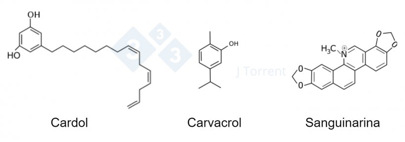 Figura 2. Comparação da estrutura qu&iacute;mica de três produtos fitog&eacute;nicos. &nbsp;
