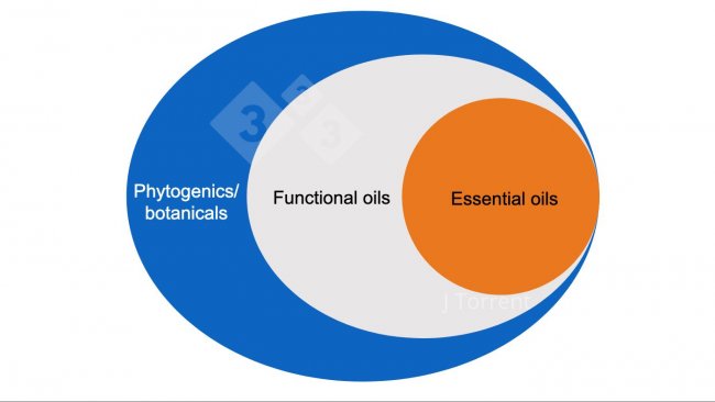 Figura 1. Ilustração da terminologia utilizada para descrever óleos essenciais, óleos funcionais e botânicos ou produtos fitogenéticos.