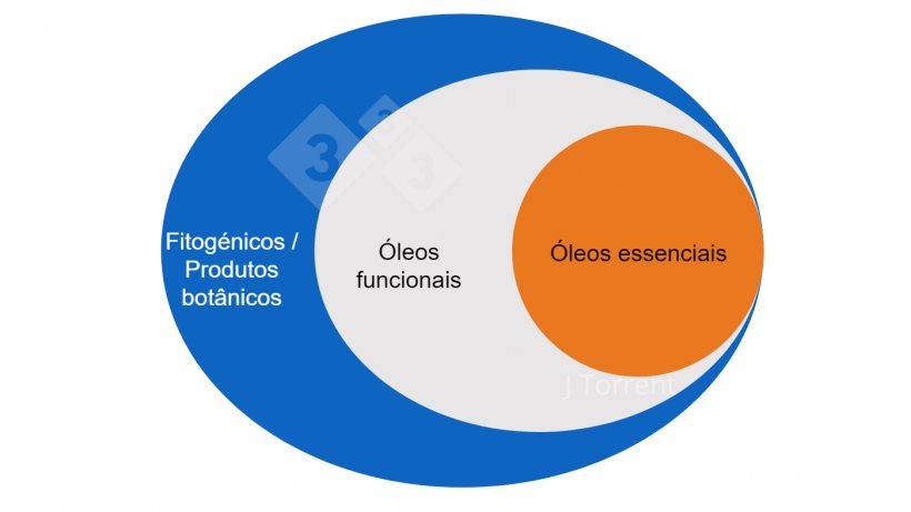 Figura 1.&nbsp;Ilustração da terminologia utilizada para descrever óleos essenciais, óleos funcionais e botânicos ou produtos fitogenéticos.
