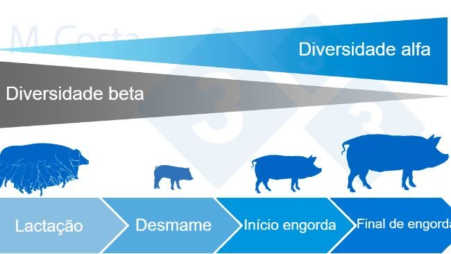 Figura 4. Dinâmica da diversidade alfa e beta durante a vida do porco.