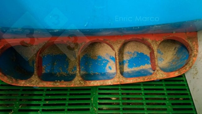 Imagem 1. Tulha correctamente regulada