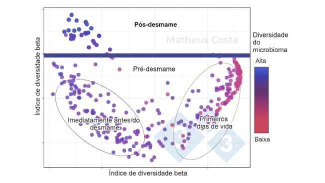 Figura 1. Diagrama de dispersão mostrando as associações entre a composição do microbioma do porco durante os primeiros dias de vida (0-7 dias), imediatamente antes do desmame (21 dias) e após o desmame (100 dias). A maior mudança é observada entre as amostras pré-desmame e pós-desmame. Picos de diversidade alfa após o desmame (mostrado como "diversidade do microbioma").
