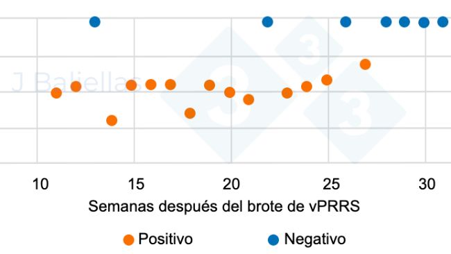Figura 1. Evolu&ccedil;&atilde;o dos valores Ct da PCR nas semanas ap&oacute;s o surto de PRRS.