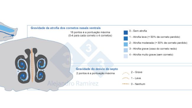 M&eacute;todo da Farmacopeia Europeia para avaliar as les&otilde;es dos cornetos.
