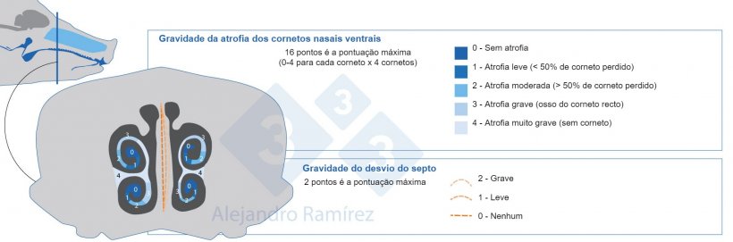 Método da Farmacopeia Europeia para avaliar as lesões dos cornetos.

