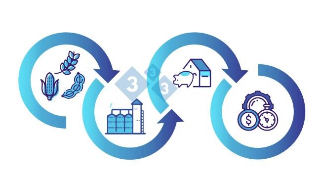 Figura 1: Relação directa que a fábrica de rações tem com a exploração e as suas consequências na eficiência e rentabilidade final do negócio.