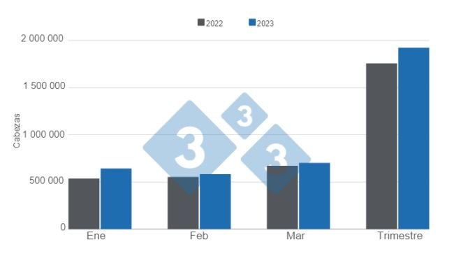 Gráfico 1. Abate de suínos no primeiro trimestre de 2023 versus 2022. Elaborado pelo Departamento de Economia e Mercados com dados da Secretaria de Agricultura, Pecuária e Pescas do Ministério da Economia da Argentina. 