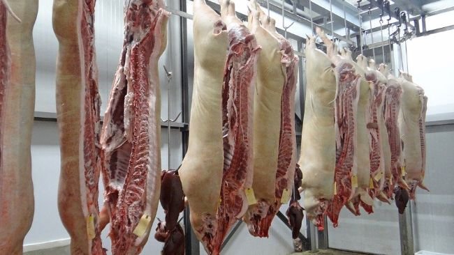 carne de porco