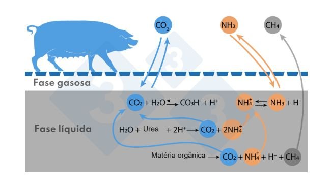 Figura. Esquema simplificado das reacções que afectam as emissões de NH3 e CH4