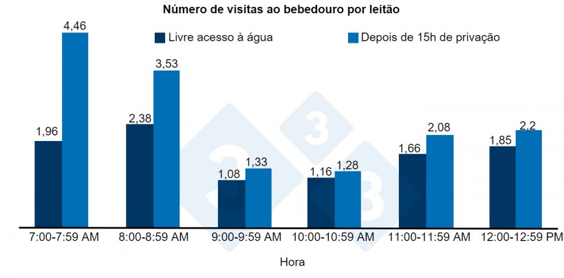 Figura 1. Número de visitas ao bebedouro por ninhada após 15 horas de privação de água ou de acesso livre à água.
