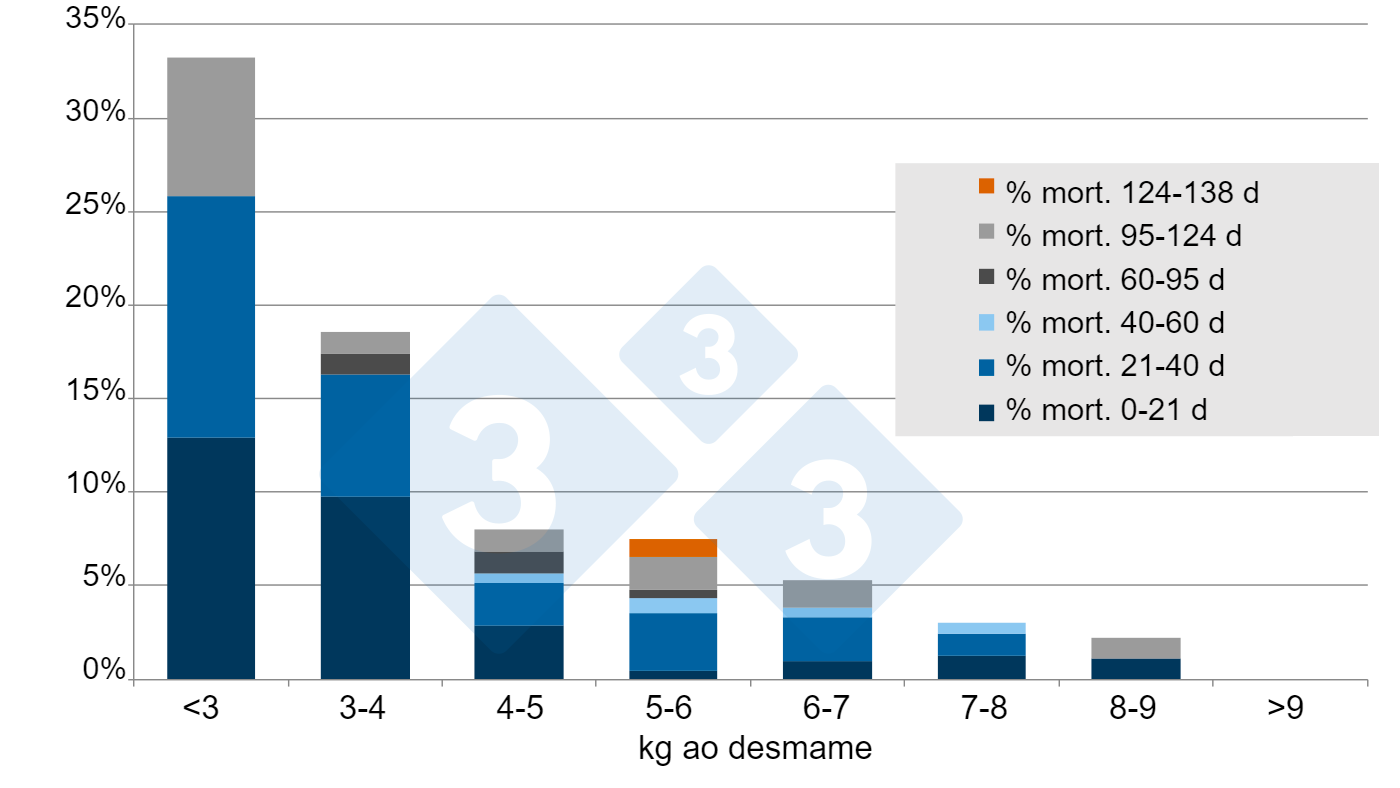 Figura 5. % Mortalidade do desmame até aos 138 d pós-desmame. Fonte: A. Vidal, 2015.
