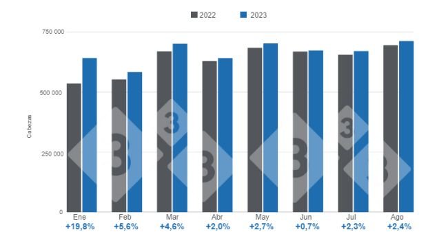 Gráfico 1. Abate mensal de suínos no período de Janeiro a Agosto, variações em relação a 2022. Elaborado pelo Departamento de Economia e Inteligência de Mercados de 333 Latinoamérica com dados da Secretaria de Agricultura, Ganadería e Pesca do Ministério de Economia da Argentina. Elaborado pelo Departamento de Economia e Inteligência de Mercados de 333 Latinoamérica com dados da Secretaria de Agricultura, Ganadería e Pesca do Ministério de Economia da Argentina. 