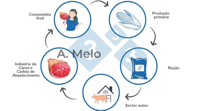 Gr&aacute;fico 1: Gráfico da cadeia alimentar desde a produção primária até à mesa do consumidor final.
