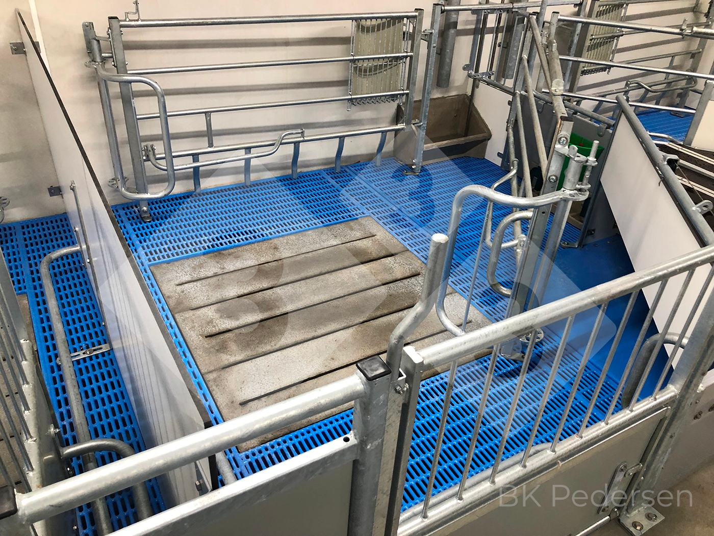 Figura 5. Jaula de parto quadrada (Novembro de 2022)