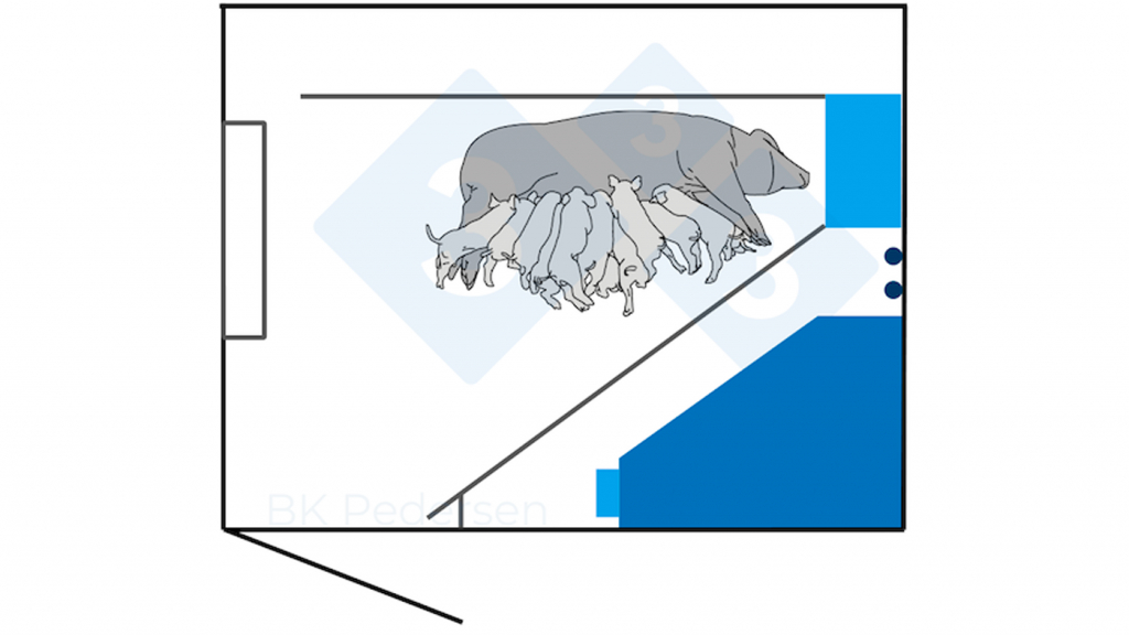 Figura 2. Anteriormente, os requisitos na Alemanha incluíam um espaço de 6,5 m<sup>2</sup> ou mais, exigindo que a porca pudesse deitar-se de lado sem tocar na parede da cela com as pernas estendidas. Por conseguinte, as celas alemãs da primeira geração têm geralmente 3,00 m de comprimento e 2,30 m de largura. A cela inclui uma jaula a 40 cm da parede do parque para permitir que a porca se deite sem a tocar.