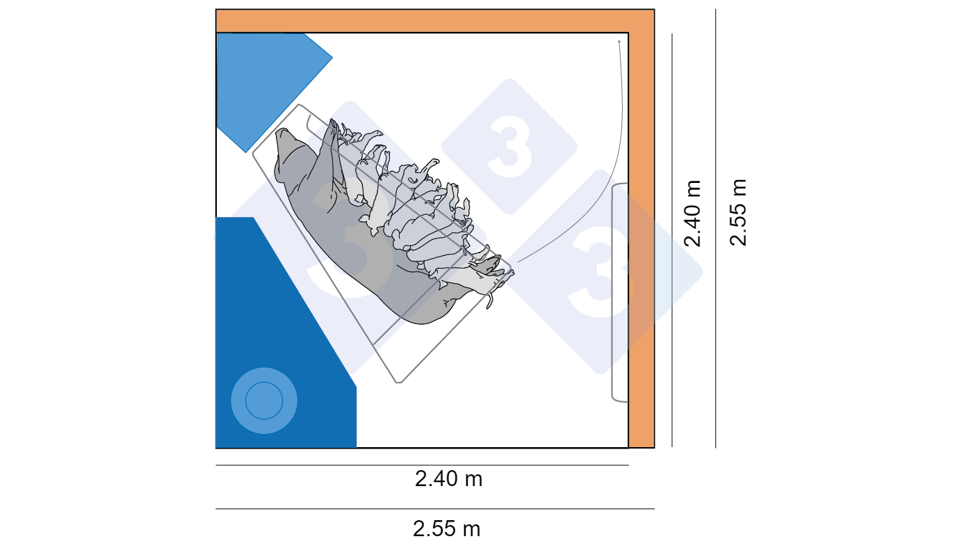 Figura 4. As primeiras dimensões dos parques na Dinamarca eram de 2,4 x 2,4 m, enquanto as mais recentes são de 2,55 x 2,55 m, permitindo mais espaço para ninhadas maiores e opções de movimento para a porca.