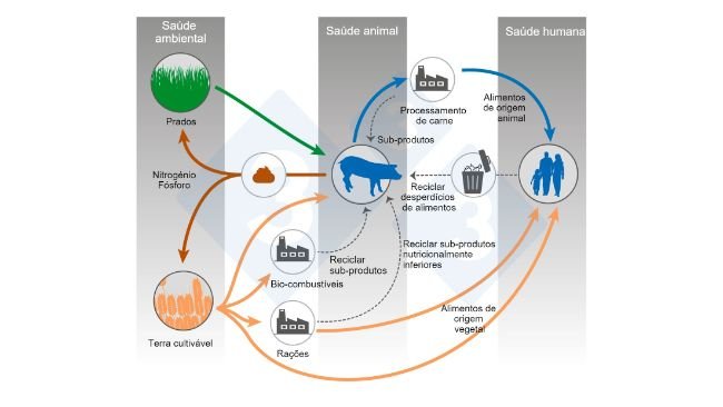 Alimentação animal e One Health. Modificado a partir de&nbsp;Shurson y&nbsp;Urriola 2022.
