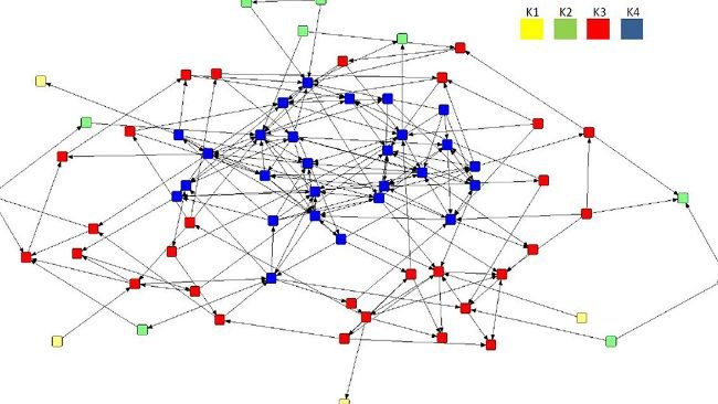 Figura 4. Sociogramma dell'associazione preferenziale diretta della rete media (n = 70) con l'analisi k-core applicata, che mostra la formazione di quattro sottogruppi all'interno della mandria tra cui K4 (n = 27), K3 (n = 29), K2 ( n = 10) e K1 (n = 4). La legenda indica il valore di cohort per ciascun sottogruppo.