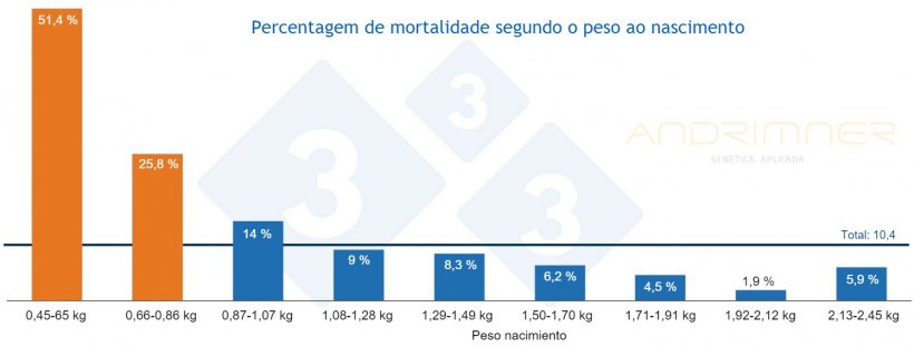 Gr&aacute;fico 3. Percentagem de mortalidade de acordo com o peso à nascença. Fonte: Javier Lorente. Exploração comercial, 3483 leitões pesados individualmente em 2021.