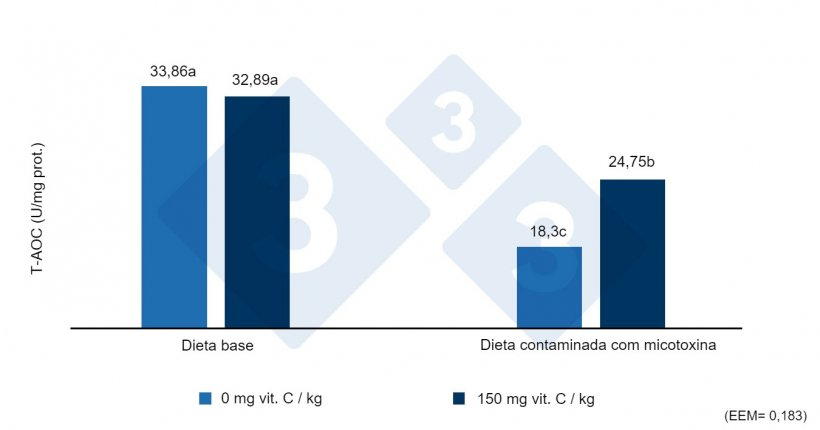 Figura 2. Capacidade antioxidante total (T-AOC) no fígado de leitões desmamados alimentados com dietas contaminadas com zearalenona com ou sem doses elevadas de vitamina C. Letras diferentes indicam diferenças estatisticamente significativas (p