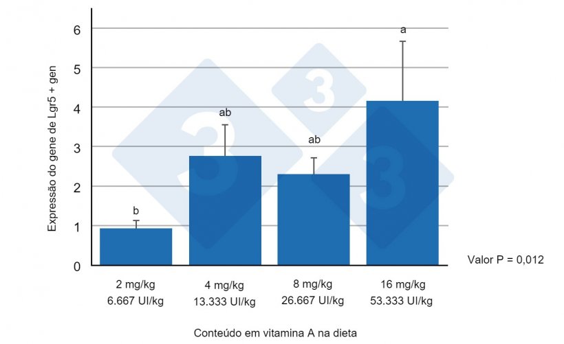 Figura 1. Expressão do gene Lgr5+ no jejuno de leitões desmamados alimentados com diferentes níveis de vitamina A. Letras diferentes indicam diferenças estatisticamente significativas (p