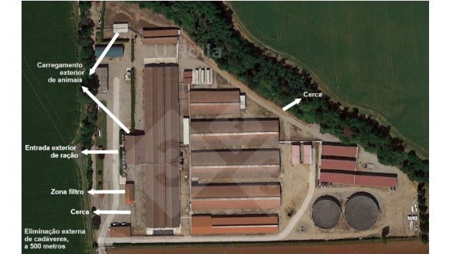 Fig. 1 Vista aérea da exploração de reprodutoras.