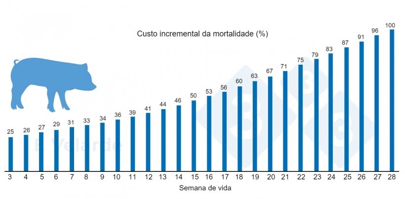 Figura 1. Custo incremental da mortalidade por semana de vida. Fonte: Velarde (2023)
