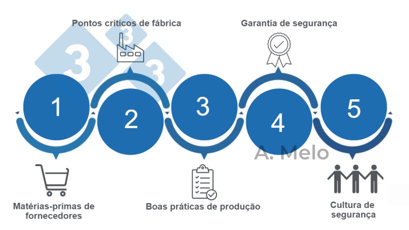 Figura 1. As cinco chaves para alcançar uma segurança alimentar equilibrada.