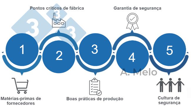 Figura 1. As cinco&nbsp;chaves para alcan&ccedil;ar uma seguran&ccedil;a alimentar equilibrada.