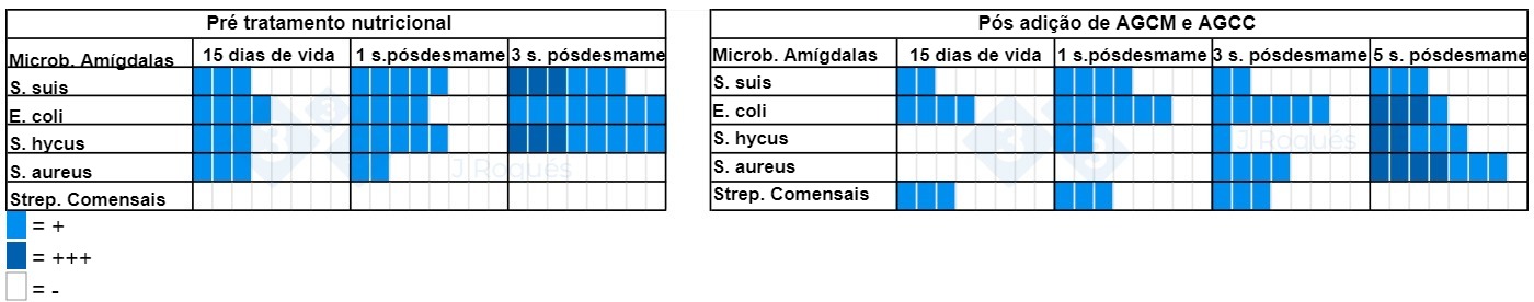 Tabela 2. N&uacute;mero de amostras positivas para cultura antes e depois da incorpora&ccedil;&atilde;o de ACGM e AGCC