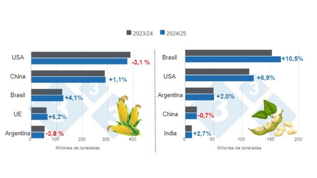 Gráfico 1. Projecção de colheita dos principais produtores mundiais de milho e soja – campanha 2024/25 versus ciclo 2023/24 Elaborado pelo Departamento de Economia e Mercados com dados da FAS -. USDA.