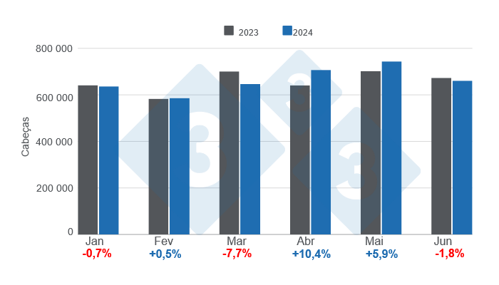 Gr&aacute;fico 1. Abate mensal de su&iacute;nos no primeiro semestre de 2024, varia&ccedil;&otilde;es anuais Elaborado pelo Departamento de Economia e Mercado da 333 Am&eacute;rica Latina com dados do Minist&eacute;rio da Agricultura, Pecu&aacute;ria e Pescas do Minist&eacute;rio da Economia da Argentina.

