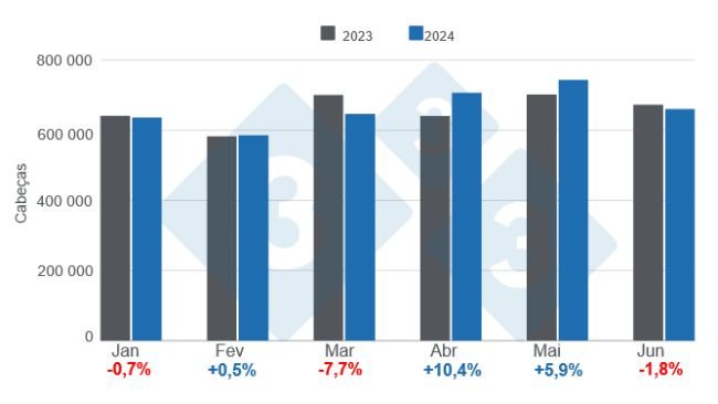 Gráfico 1. Abate mensal de suínos no primeiro semestre de 2024, variações anuais Elaborado pelo Departamento de Economia e Mercado da 333 América Latina com dados do Ministério da Agricultura, Pecuária e Pescas do Ministério da Economia da Argentina.