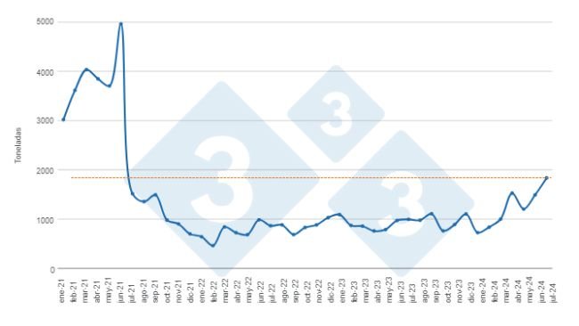 Gráfico 1. Evolución de las exportaciones mensuales de carne de cerdo en el período enero de 2021 a julio de 2024. Elaborado por el Departamento de Economía e Inteligencia de Mercados de 333 Latinoamérica con datos de la Secretaría de Agricultura, Ganadería y Pesca del  Ministerio de Economía de Argentina. 