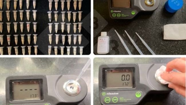 Foto 1. Uso de refractómetros digitais para a medição indirecta da concentração de imunoglobulinas