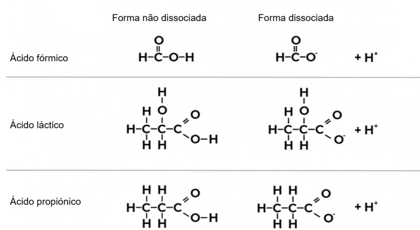 Figura 1. Fórmula química do ácido fórmico, ácido láctico e ácido propiónico na sua forma não dissociada e dissociada.