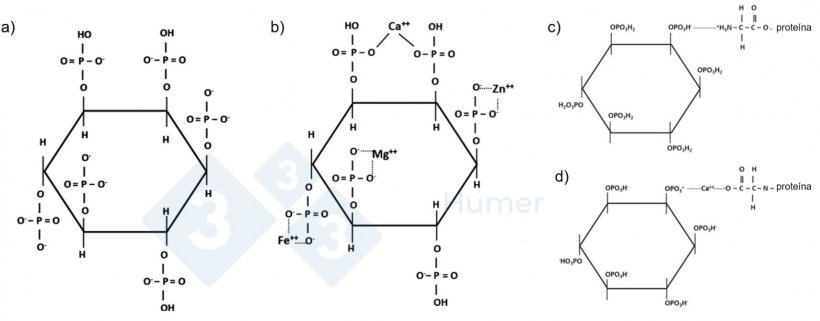 Figura 1. Estrutura do ácido fítico a pH neutro (a); estrutura do ácido fítico quelado a pH neutro com catiões (b); estrutura do ácido fítico quelado com proteínas a pH ácido (c) e neutro (d). Adaptado de Humer et al. (2014).