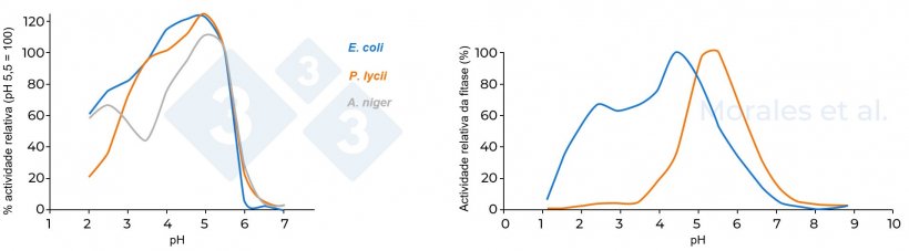 Figura 3. Actividade relativa de diferentes fitases. A figura da esquerda compara três fitases (A. niger, E. coli y P. lycii), tomando como referência uma actividade de 100% a pH 5,5 (Kumar et al., 2003). A figura da direita compara duas fitases (fitase microbiana E. coli e fitase fúngica P. lycii); a actividade máxima de fitase registada considera-se como 100% (Morales et al. 2011).
