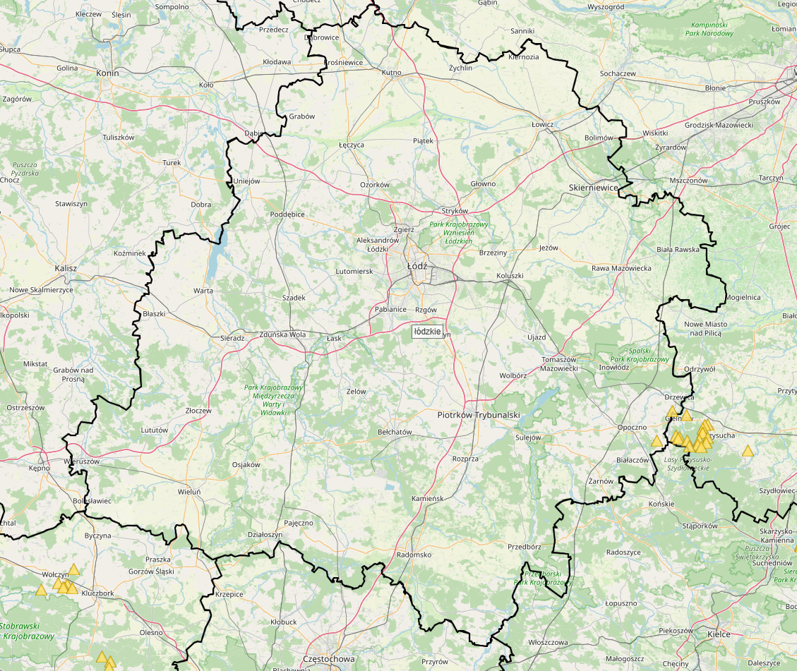 Primeiro caso de PSA num javali na província de Łódź.
